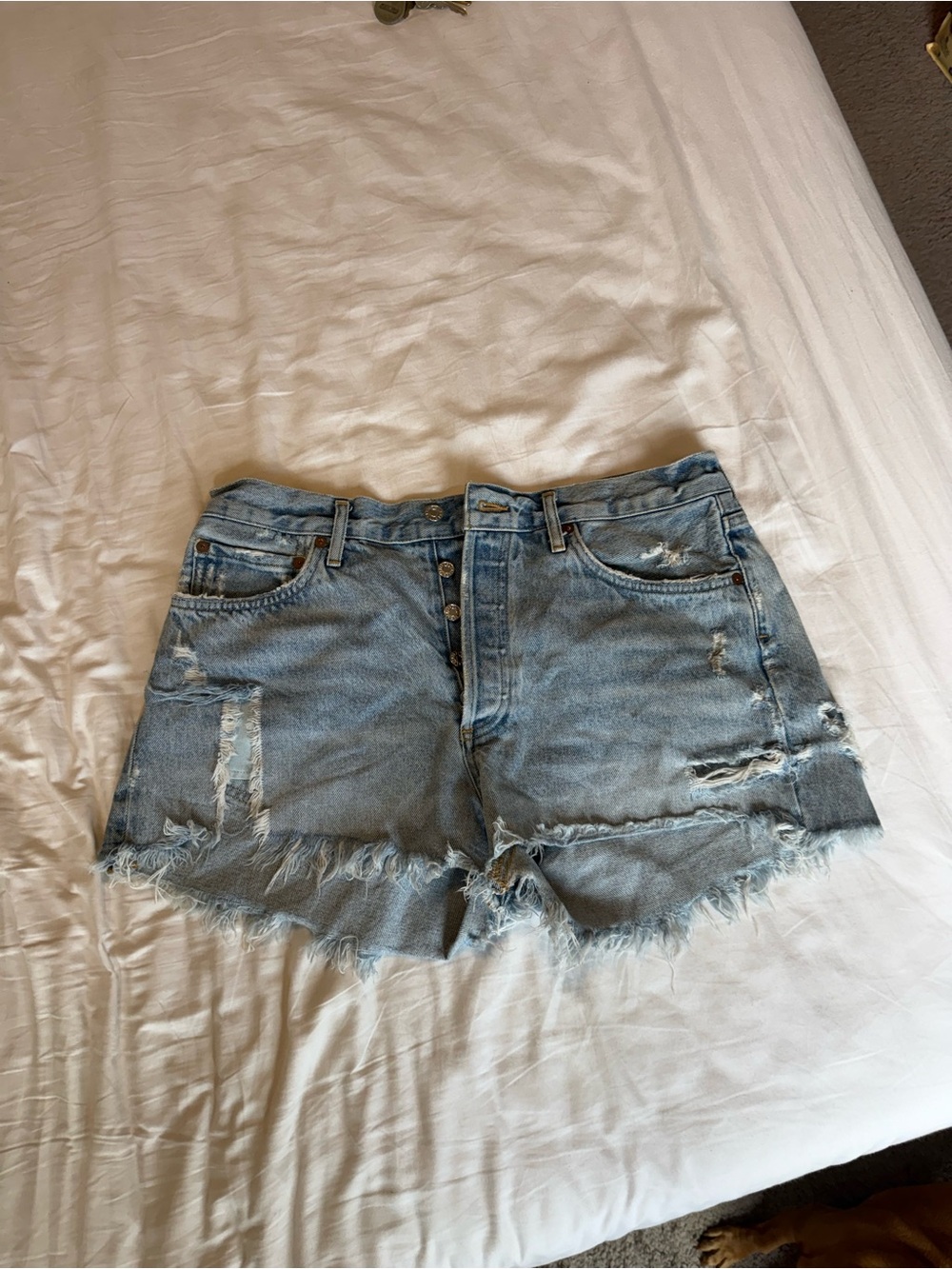 Agolde Light Blue Distressed Denim Cutoff Shorts